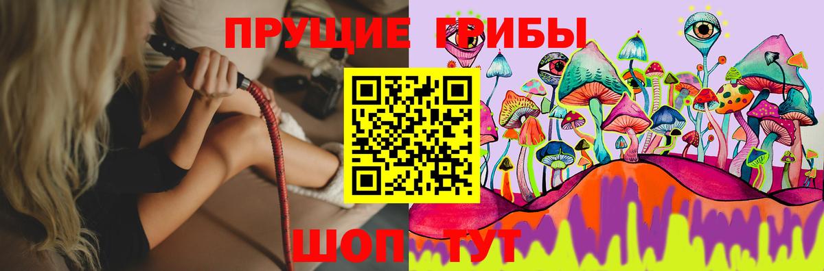 Галлюциногенные грибы Cubensis  Вход с VPN  Крымск  Галлюциногенные грибы GOLDEN TEACHER 
