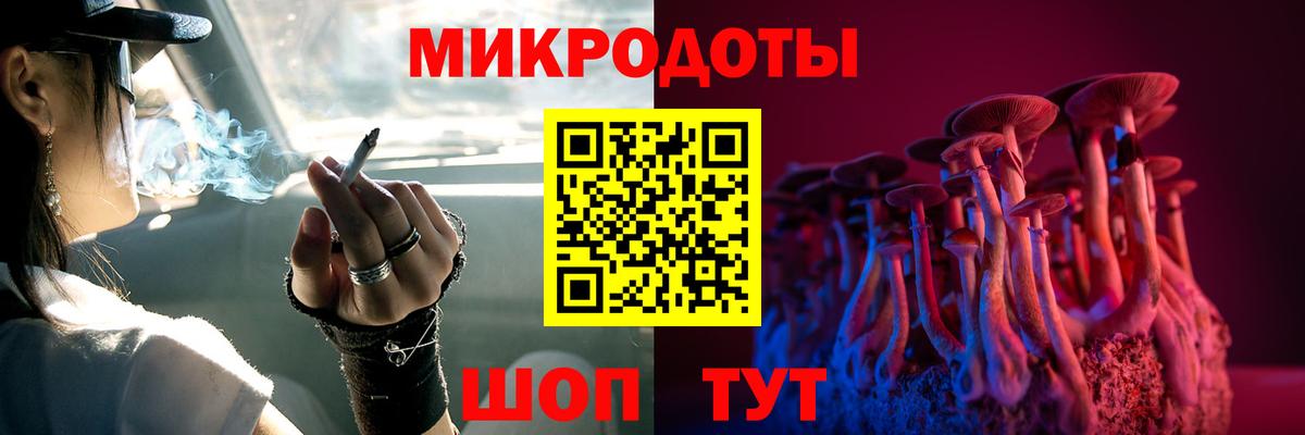 Псилоцибиновые грибы Cubensis Крымск